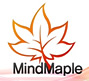 MindMaple mind mapping software