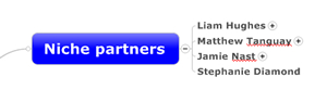 niche partners - networking