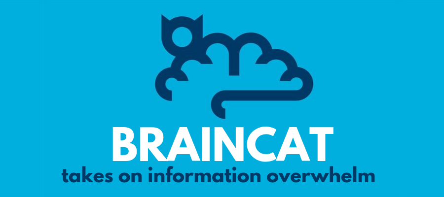 braincat