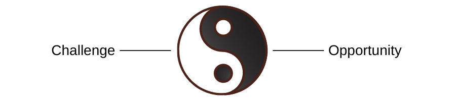 yin an yang - challenge and opportunity