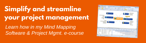 project management e-course