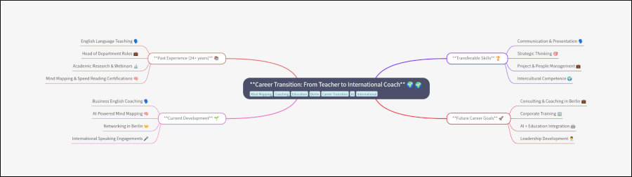 Tuba Kizilkan career change using mind maps interview